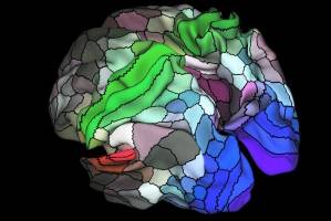 کشف ۱۰۰ ناحیه جدید در مغز