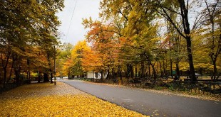 اغمای پاییزی گردشگری داخلی